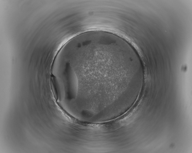 X0000091361529200708101409