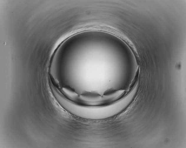 X0000091361530200708101409