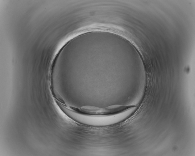 X0000091361531200708101409