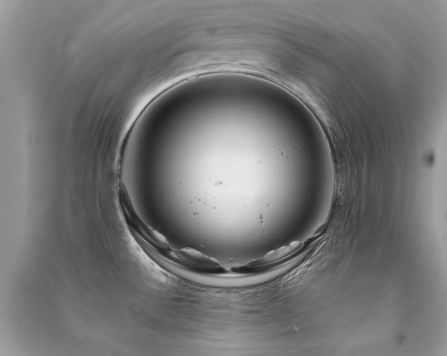 X0000091361532200708101409