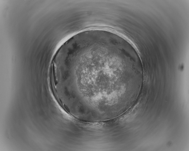 X0000091361533200708101409