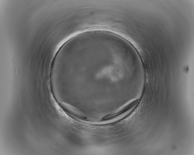 X0000091361534200708101409