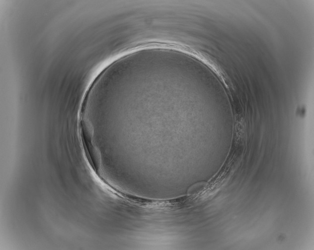 X0000091361535200708101409