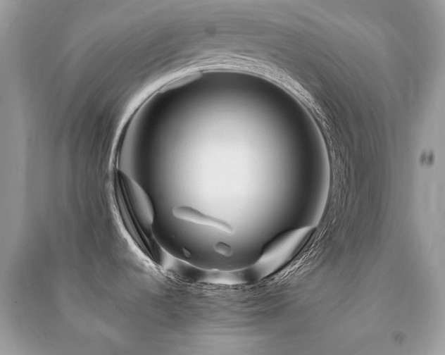 X0000091361536200708101409
