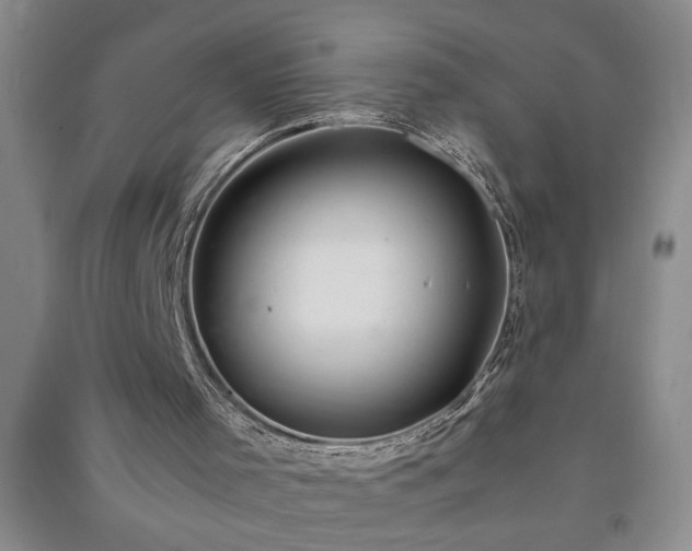 X0000091360001200708171533