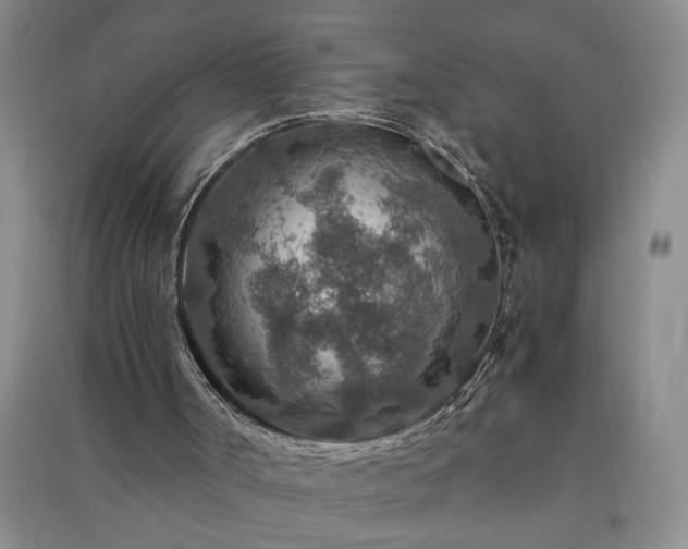 X0000091360002200708171533