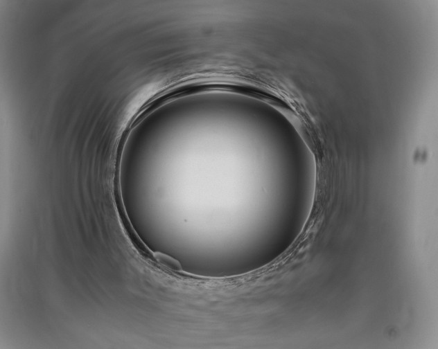 X0000091360003200708171533