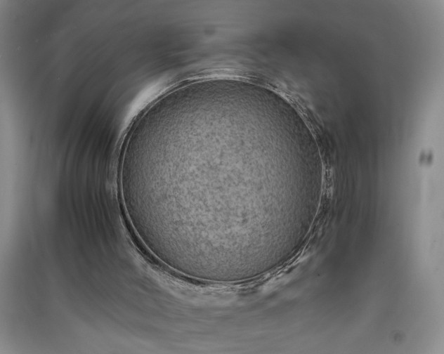 X0000091360004200708171533