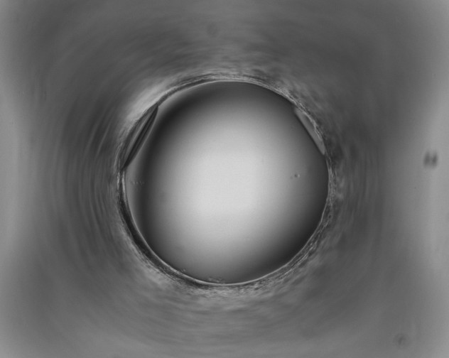 X0000091360005200708171533