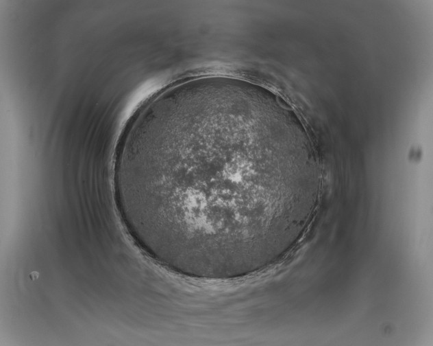 X0000091360006200708171533