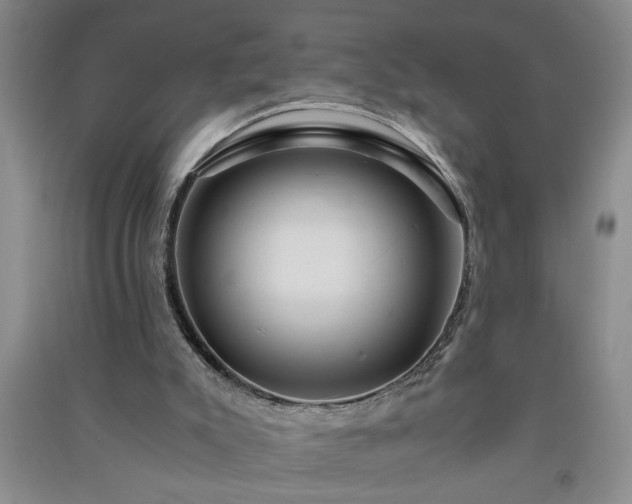 X0000091360007200708171533