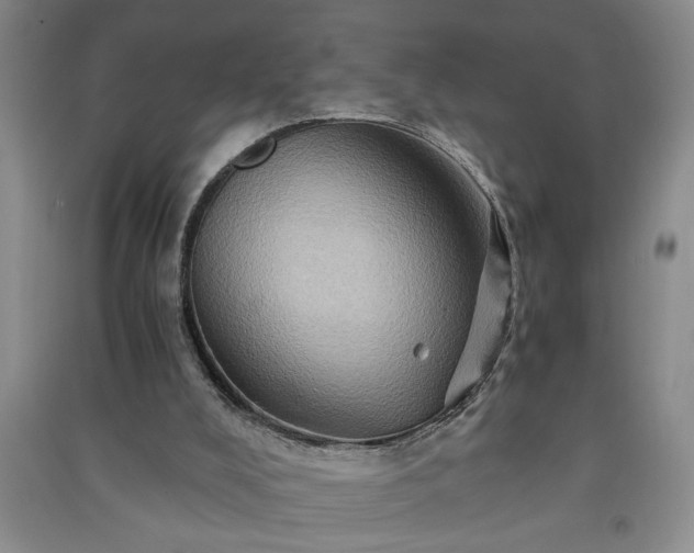 X0000091360008200708171533