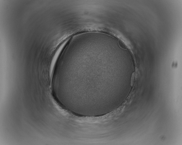 X0000091360009200708171533