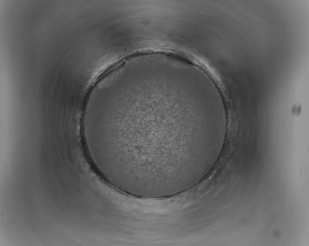 X0000091360010200708171533