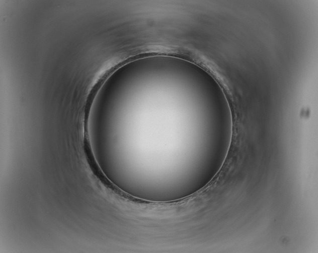 X0000091360011200708171533