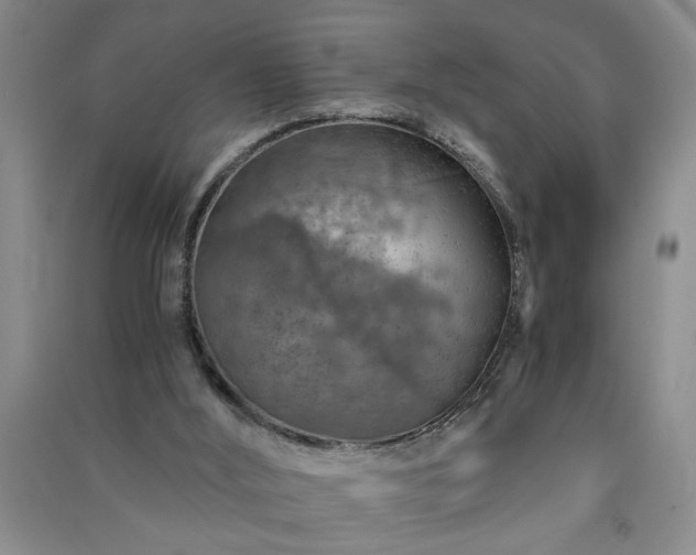 X0000091360012200708171533