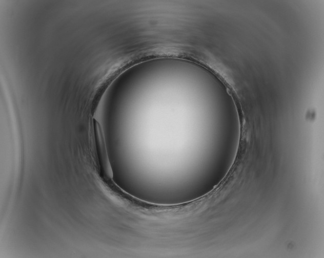 X0000091360013200708171533