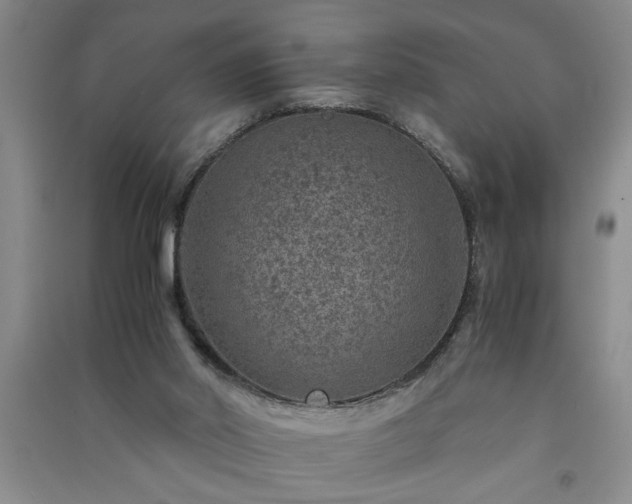 X0000091360014200708171533