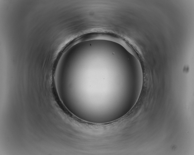 X0000091360015200708171533