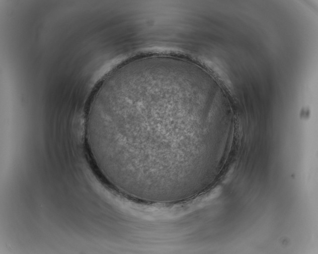 X0000091360016200708171533
