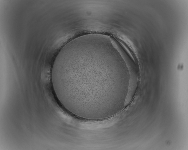 X0000091360017200708171533