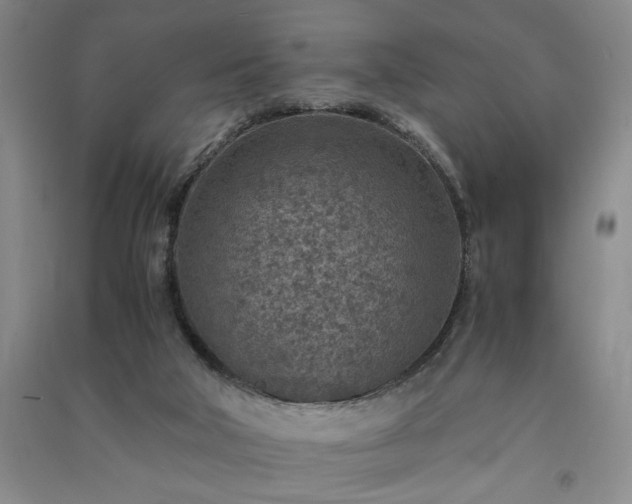 X0000091360018200708171533
