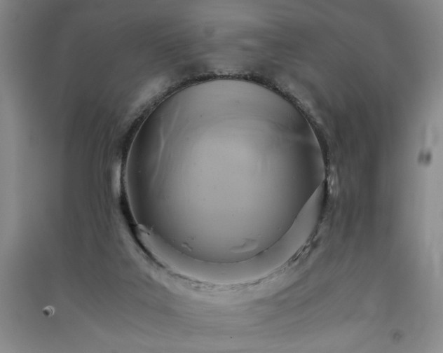 X0000091360019200708171533
