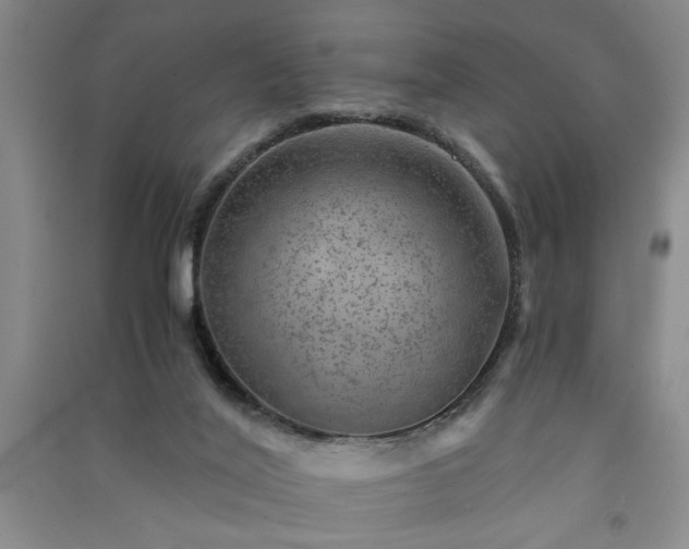 X0000091360020200708171533