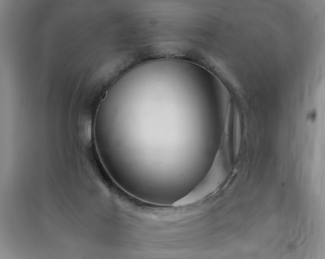 X0000091360021200708171533