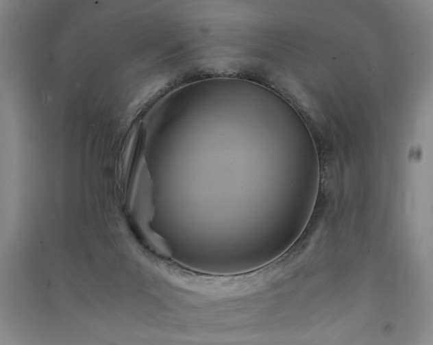 X0000091360023200708171533