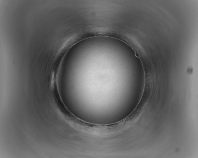 X0000091360024200708171533