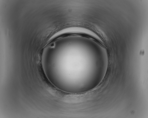 X0000091360025200708171533