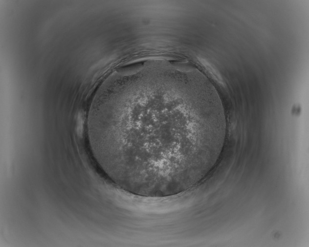 X0000091360026200708171533