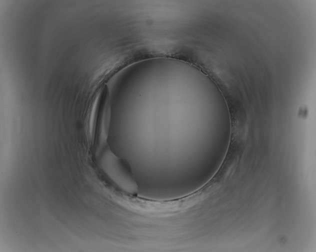 X0000091360027200708171533