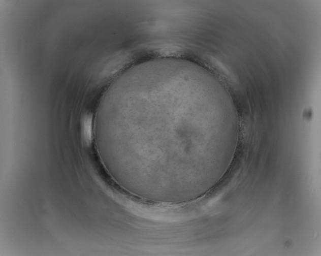 X0000091360028200708171533
