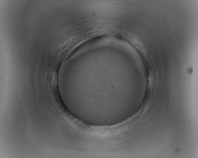 X0000091360029200708171533