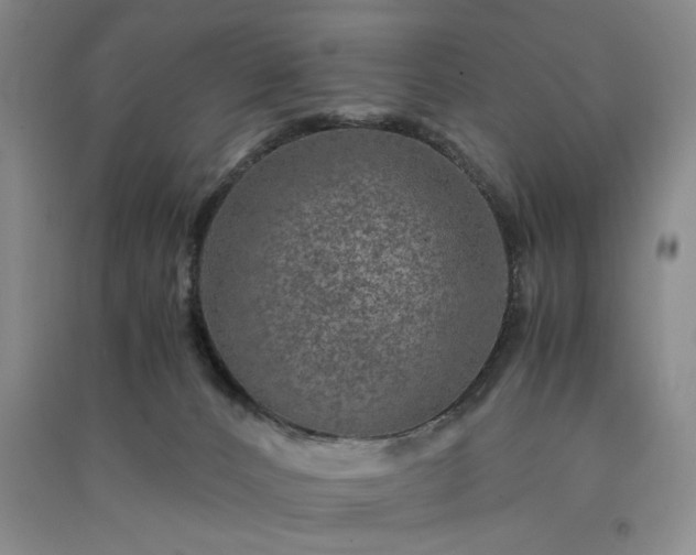 X0000091360032200708171533