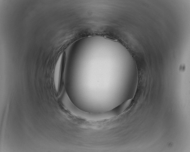 X0000091360033200708171533