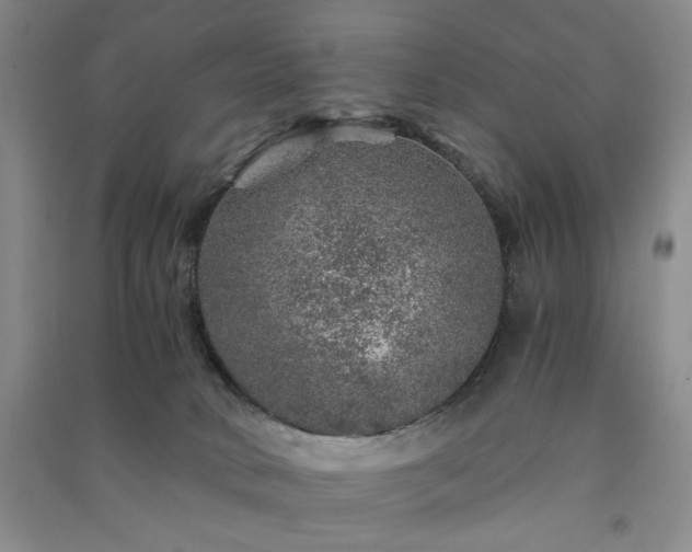 X0000091360034200708171533