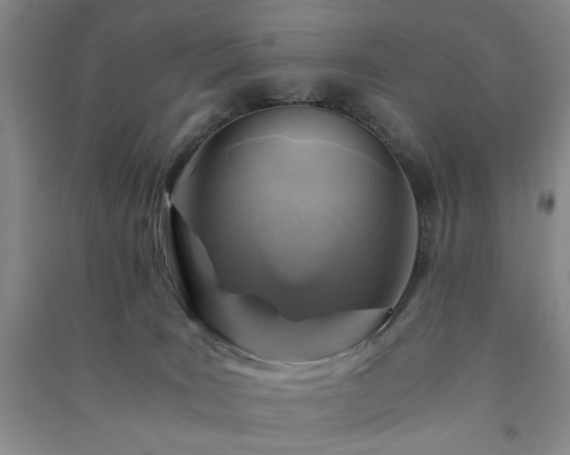 X0000091360035200708171533