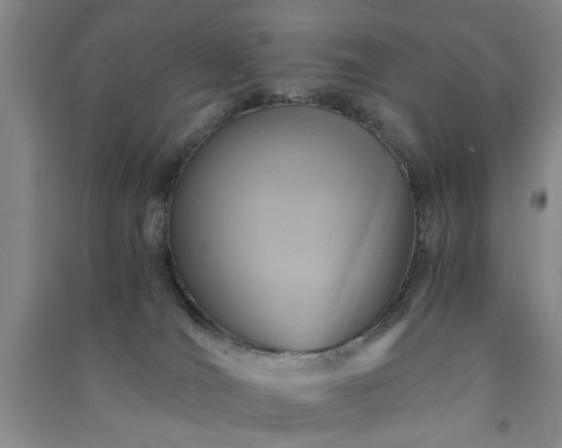 X0000091360036200708171533