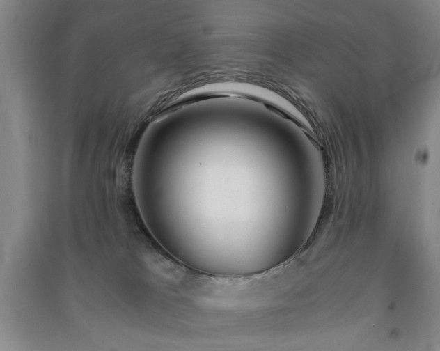 X0000091360037200708171533