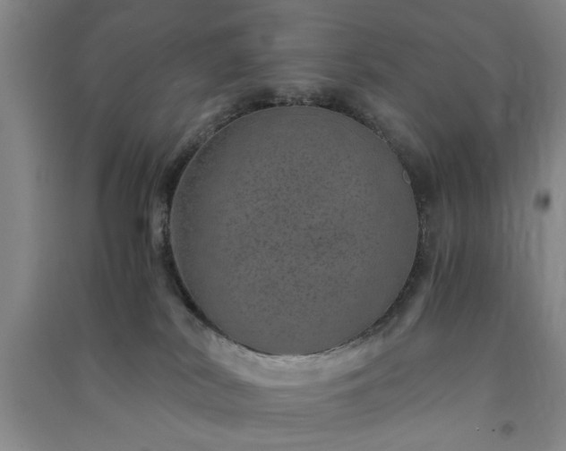 X0000091360038200708171533
