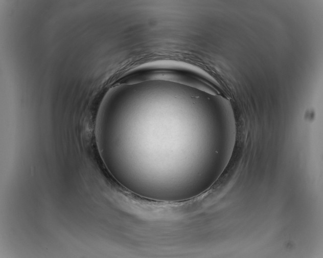 X0000091360040200708171533