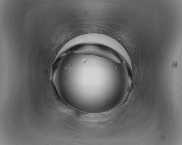 X0000091360041200708171533