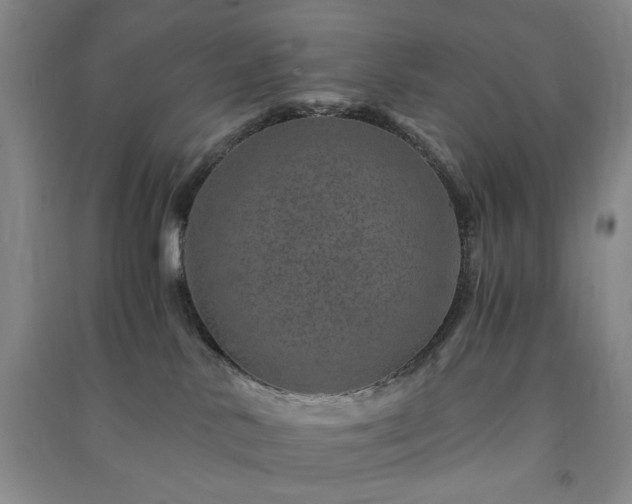 X0000091360042200708171533