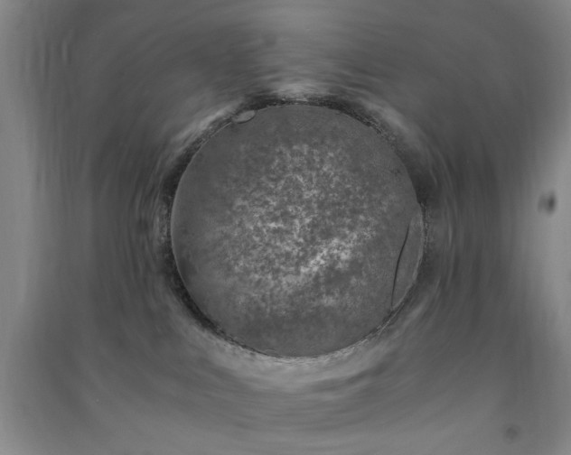 X0000091360043200708171533