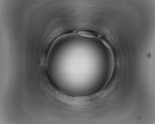 X0000091360044200708171533