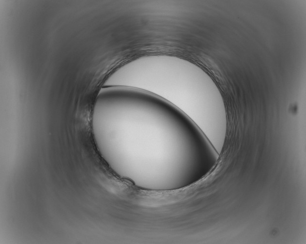 X0000091360045200708171533