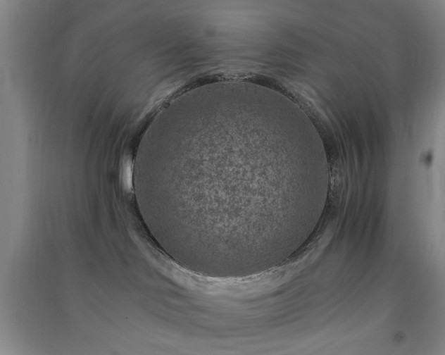 X0000091360046200708171533